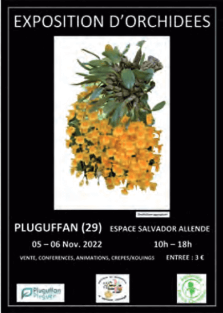 Expo à PLUGUFFAN (29) les 5 et 6 novembre 2022 Pluguffan