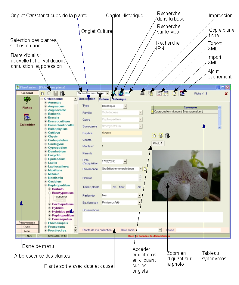 Fiche plante